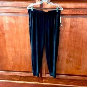 X by Zella velour jogger Black M Pull On Elastic Waistband